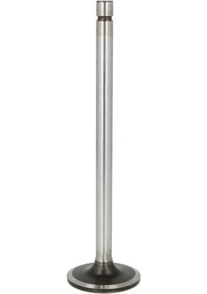 Gunes G1129-SUBAP Gayd Tk 1.6 2.0 Tdı Passat 04L109611H