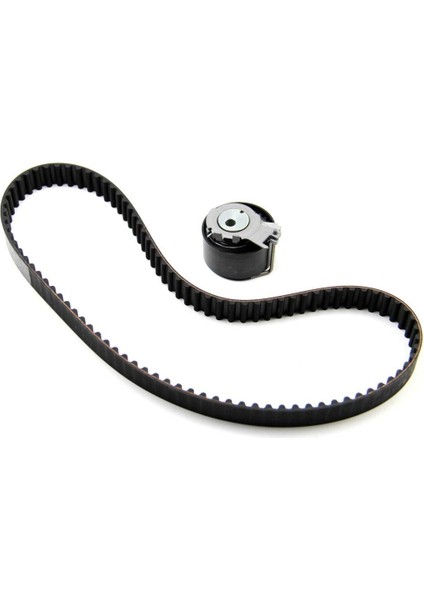 530019510-TRİGER Seti Renault Clıo Iıı 1.2 7701476745