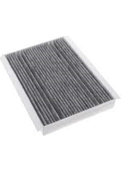 PB3071-POLEN Filtresi Karbonlu Mercedes E180 W213 A2058350147