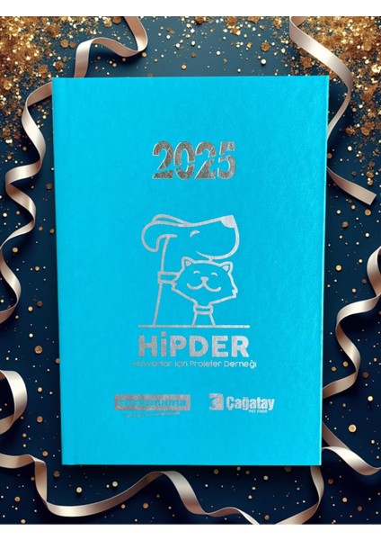 2025 Ajanda