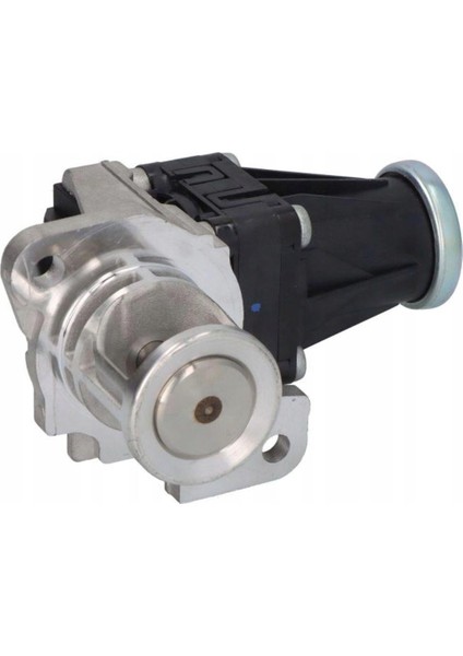 Delphı EG10553-12B1-EGR Vanası Renault Scenıc Iıı 1.5 Dcı 8200129863 (Sasi Kontrol)