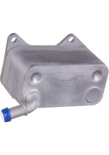 08090011-YAG Sogutucu Vw Passat 2.0 Fsı 05 06D117021C