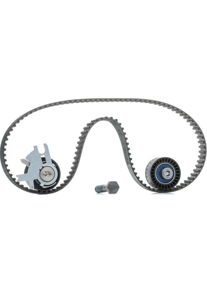 K015587XS-EKSANTRIK Rulman Kıtı 1.4 Hdı 206+ 09 0831.T3