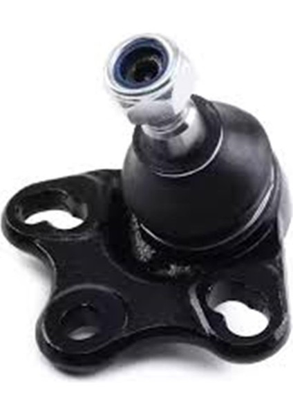 Rıw CI1006-ALT Rotıl P301 12 3640.77