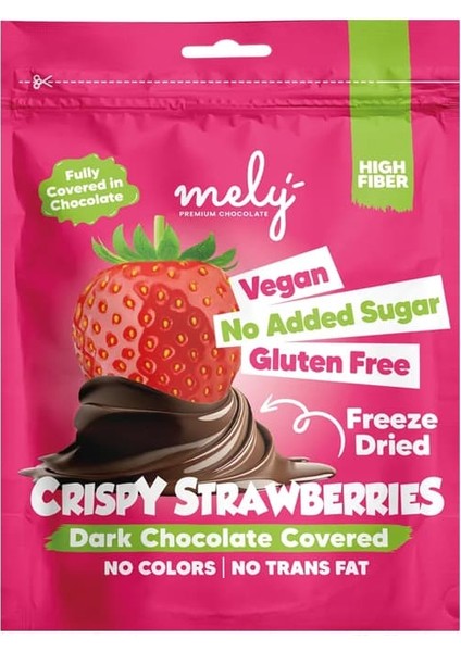 GLUTENSİZ ŞEKER İLAVESİZ VEGAN ÇİKOLATA KAPLI FREEZE DRY ÇİLEK 50 GR