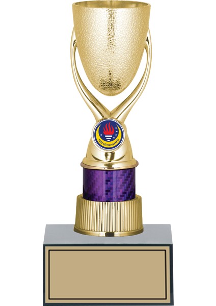 Futbol Kupası Ödül Kupası Tören Kupası 24 cm GN147