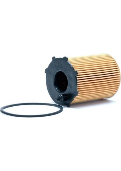 Ufı 25.037.00-YAG Fıltresı 1.4 Hdı/1.6 Hdı Cıtroen C3 10 1109.AY