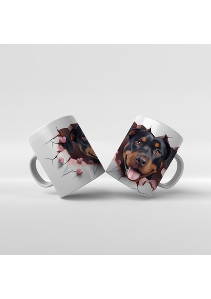 Sevimli Köpekler - 20