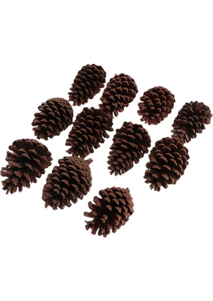 10 Adet Büyük Dekoratif Koniler 8-10CM Vazo Kase Dolgu Dekoratif Zanaat (Yurt Dışından)