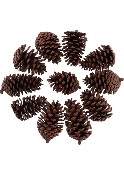 10 Adet Büyük Dekoratif Koniler 8-10CM Vazo Kase Dolgu Dekoratif Zanaat (Yurt Dışından) modelleri