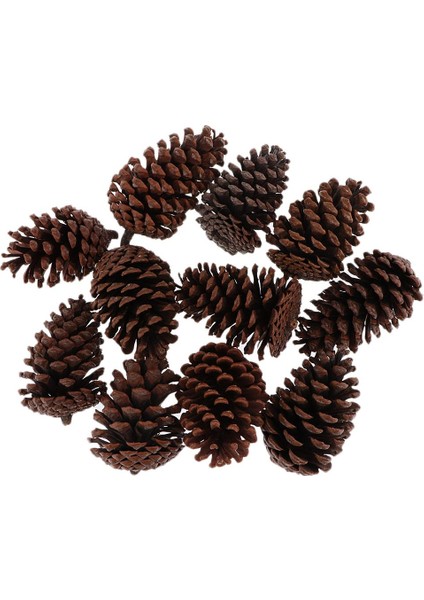 10 Adet Büyük Dekoratif Koniler 8-10CM Vazo Kase Dolgu Dekoratif Zanaat (Yurt Dışından) fırsatları
