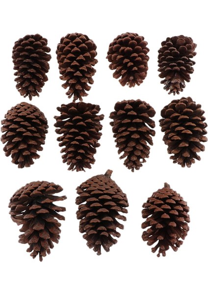 10 Adet Büyük Dekoratif Koniler 8-10CM Vazo Kase Dolgu Dekoratif Zanaat (Yurt Dışından) indirimleri