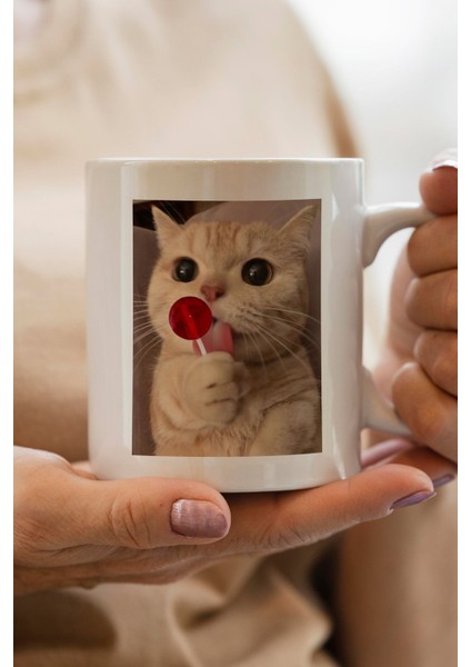 Kedi Baskılı Yılbaşı Hediyesi Kupa Bardak