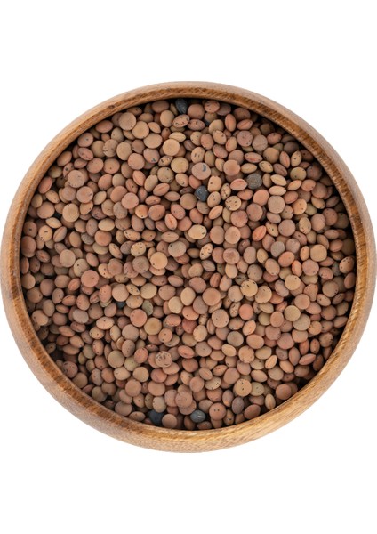 Organikköy Mercimek fiyatları