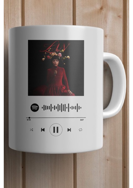 Zeynep Bastık-Lan Spotify Şarkı Kodlu Premium Yılbaşı Hediyesi Kupa Bardak fiyatları