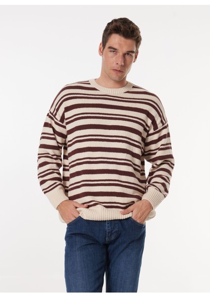 Bisiklet Yaka Loose Fit Çizgili Kahve - Bej Erkek Kazak M4WM-KZK-1622