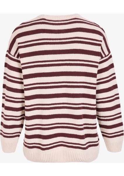 Bisiklet Yaka Loose Fit Çizgili Kahve - Bej Erkek Kazak M4WM-KZK-1622 modelleri