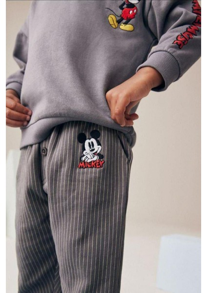 Mcky Çizgili Desen Erkek Çocuk 2 li takım - Gri indirimleri