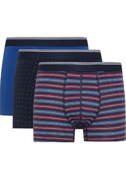 Regular Fit 3'lü Boxer D2321AX24WN