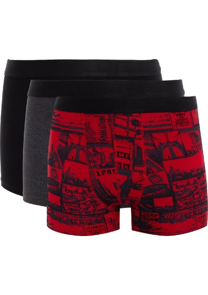 Regular Fit 3'lü Boxer E0116AX24AU