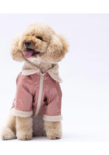 Rose Vegas Ceket Kedi Köpek Ceketi Kedi Köpek Kıyafeti Kedi Köpek Elbisesi fiyatları