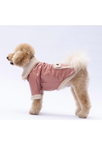 Rose Vegas Ceket Kedi Köpek Ceketi Kedi Köpek Kıyafeti Kedi Köpek Elbisesi modelleri