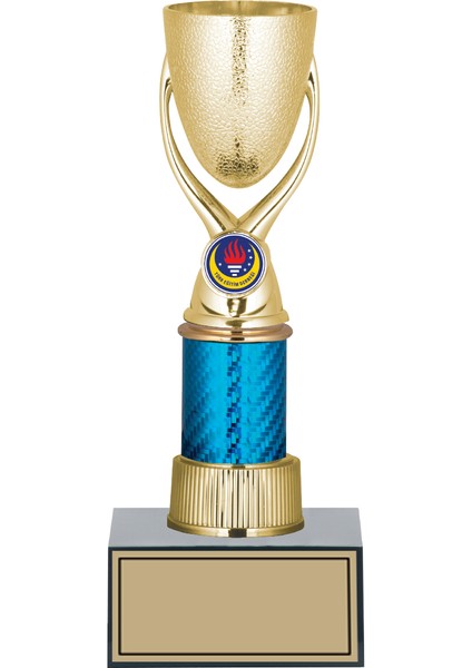 Futbol Kupası Ödül Kupası Tören Kupası 26 cm GN150