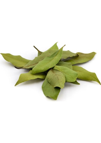 Defne Yaprağı 200 gr
