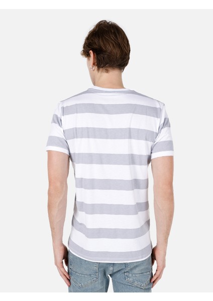 Regular Fit Yuvarlak Yaka Erkek Gri Kısa Kol Tişört Cl1067726