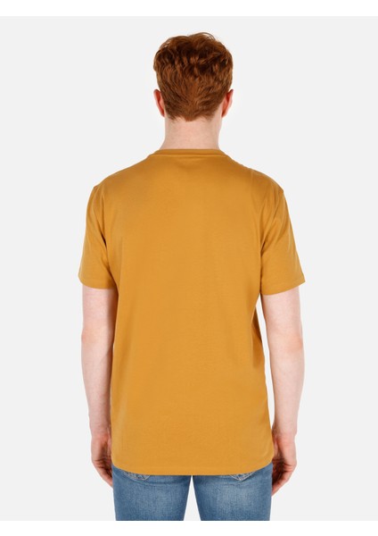 Sarı Erkek Tshirt K.kol fırsatları