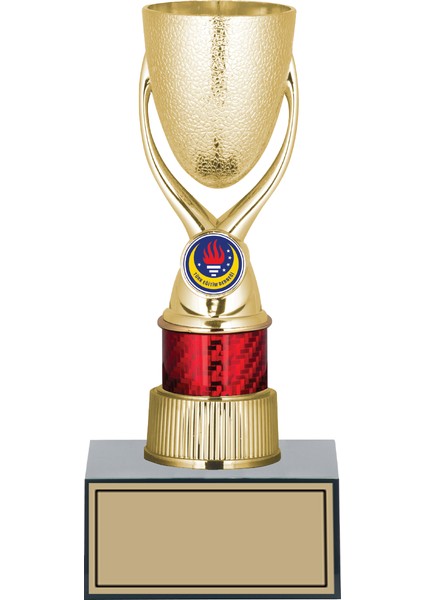 Futbol Kupası Ödül Kupası Tören Kupası 24 cm GN152