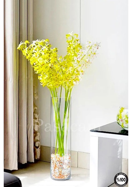 Denizli El Imalatı Silindir Cam Vazo 15CM En x 50 cm Boy fiyatları