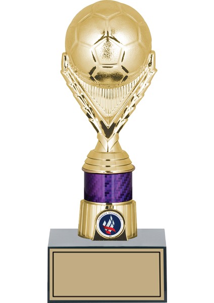 Futbol Topu Kupası Ödül Kupası Tören Kupası 23 cm GN155