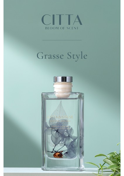 Cıtta Bloom Of Scent | Dream Serisi | Grasse Style Oda Kokusu | 150 ml Oda Kokusu
