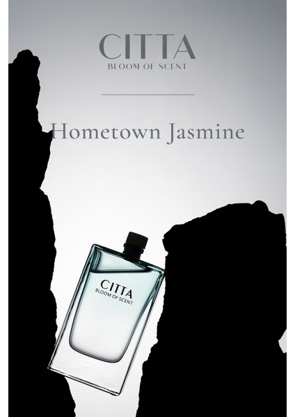 Cıtta Bloom Of Scent | 3'lü Oda Parfümü Seti | Hediye Seti Oda Kokusu | 120 ml Oda Kokusu