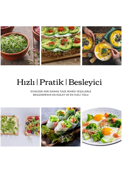 Mikro Filiz Yetiştirme Kiti - 2'li Wasabi & Pak Choi