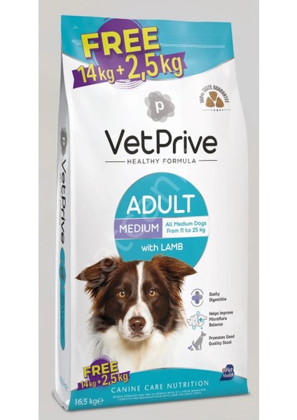 Vet Prive Orta ve Iri Irk Yetişkin Köpek Maması Kuzu Etli Bonus Paket 14+2,5 kg