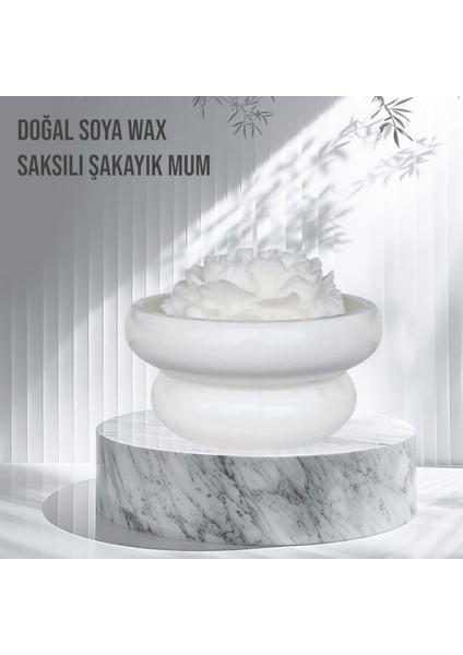 Saksılı Şakayık %100 Doğal Sandal Kokulu Soya Wax Dekoratif Mum