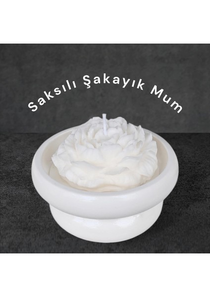 Saksılı Şakayık %100 Doğal Sandal Kokulu Soya Wax Dekoratif Mum