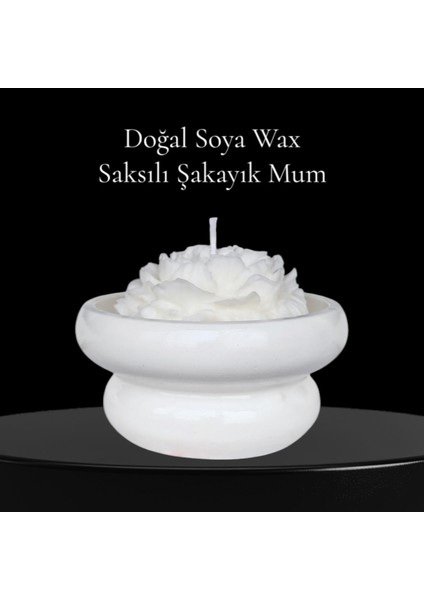 Saksılı Şakayık %100 Doğal Sandal Kokulu Soya Wax Dekoratif Mum