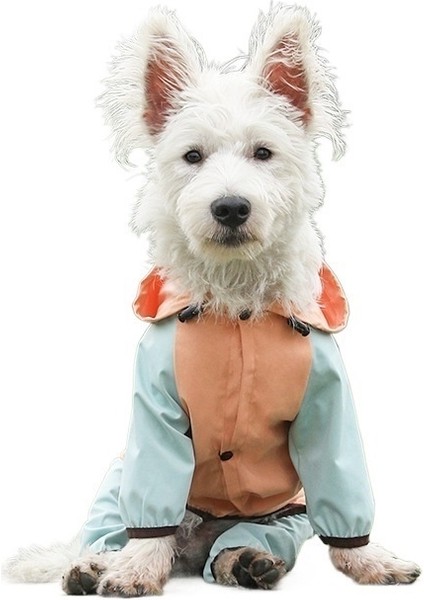 Köpek Yağmurluğu Su Geçirmez Her Şey Dahil Ayaklı Küçük Köpek Evcil Hayvan Yağmurluğu (Yurt Dışından)