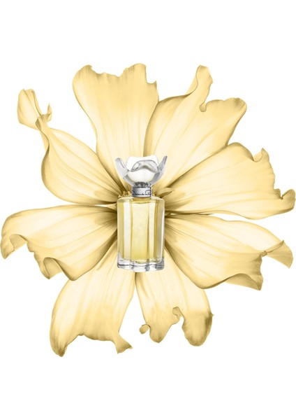 Oscar Esprit D'oscar Edp Kadın Parfüm 100 ml fiyatları