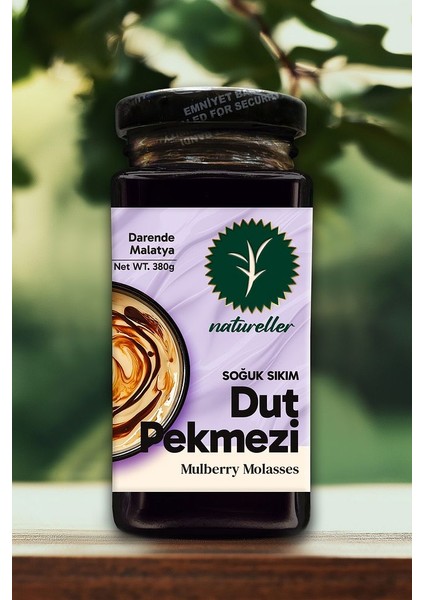 Dut Pekmezi Soğuk Sıkım Malatya - 380 gr