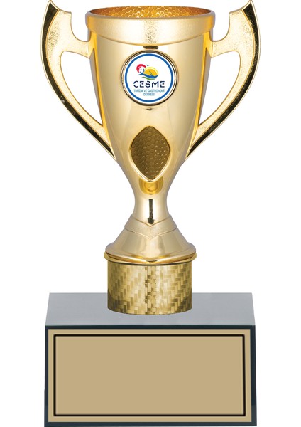 Futbol Kupası Ödül Kupası Tören Kupası 21 cm GN169