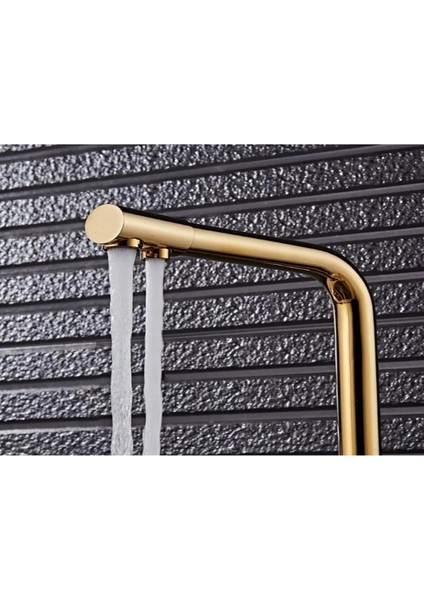 Su Arıtma Cihazı Için 3 Yollu Oval L Borulu Gold Musluk fırsatları