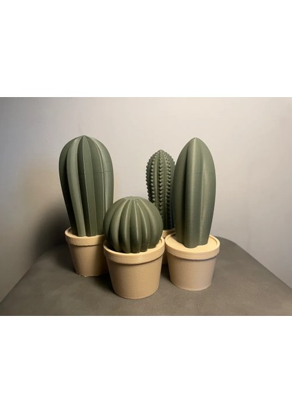 Saksıda Kaktüs Figürü - 4'lü