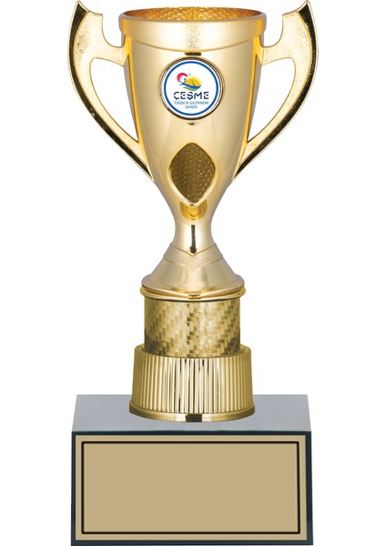 Futbol Kupası Ödül Kupası Tören Kupası 24 cm GN170