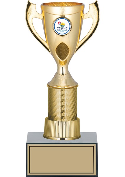 Futbol Kupası Ödül Kupası Tören Kupası 26 cm GN170