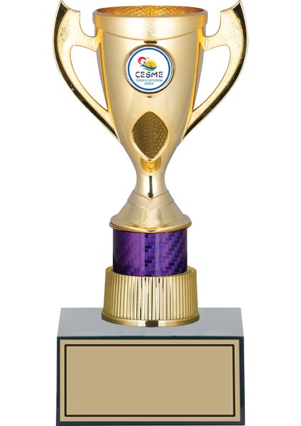 Kişiye Özel Kupa Takımı-Ödül Kupası-Turnuva Kupası 3'lü Takım GN171 fırsatları