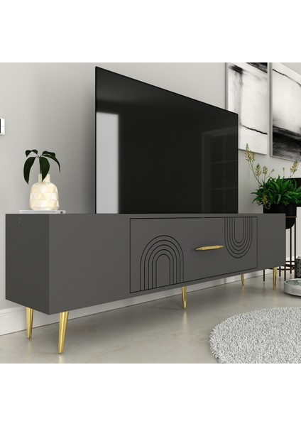 DEKOL2CT Tv Sehpası Antrasit-Altın fiyatları